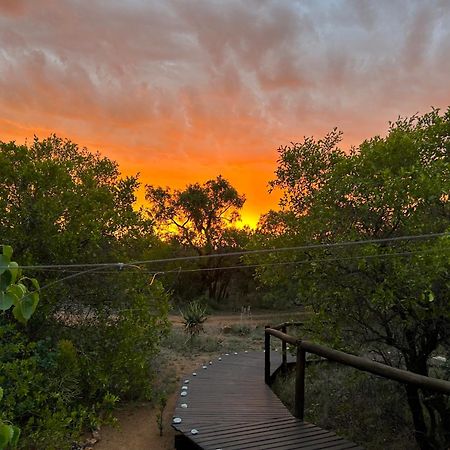 Out In Africa Wildlife Lodge ハマンスクラール エクステリア 写真