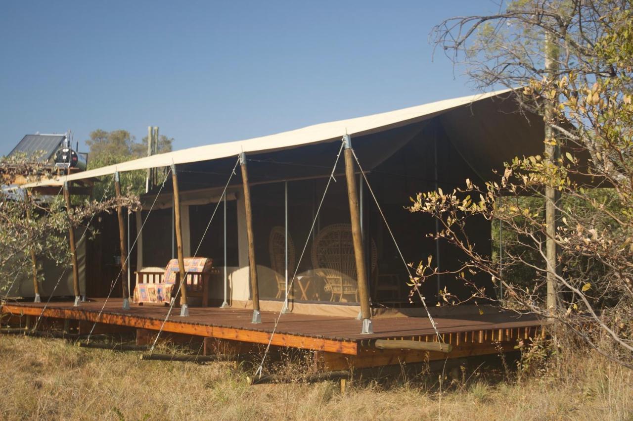 Out In Africa Wildlife Lodge ハマンスクラール エクステリア 写真